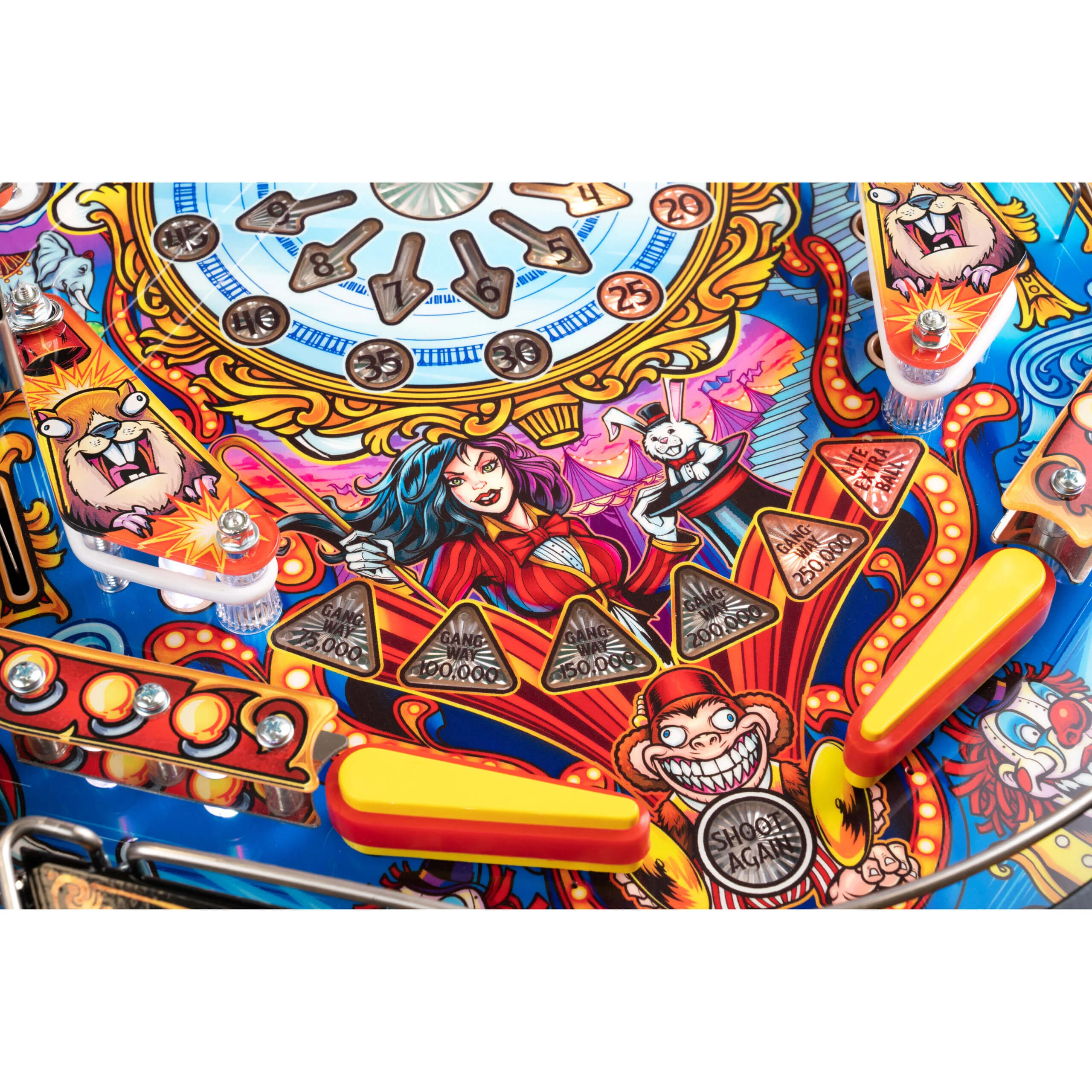 le playfield 1 scaled
