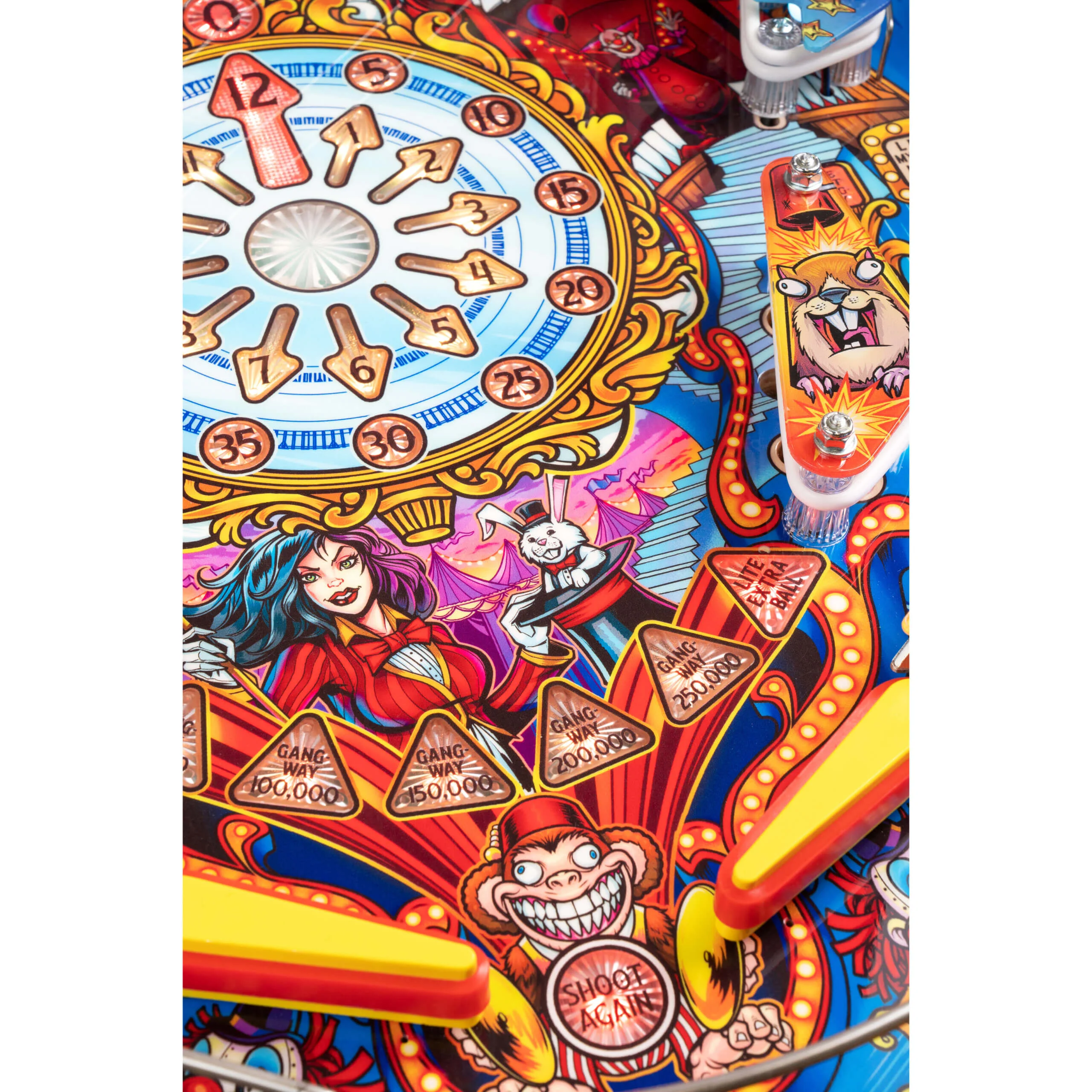 le playfield 2 scaled